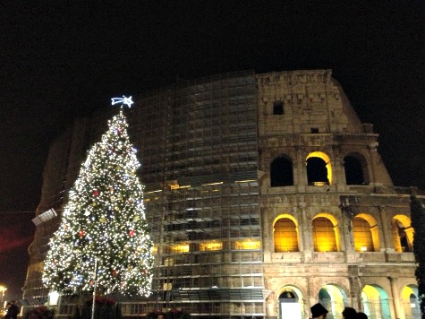 Christmas tree at the Colosseum, Rome, Italy