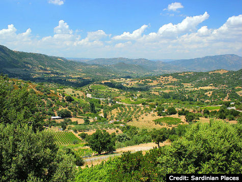 View of Central Sardinia