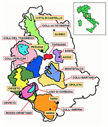Umbria wine areas: Photo credit gabydenheld.homestead.com