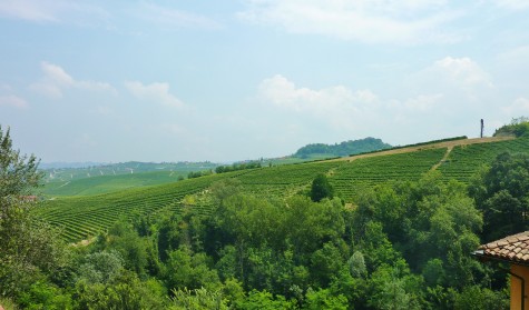 Collisioni Festival in Piedmont | Barolo vineyards as seen from the Castle of Barolo | BrowsingItaly.com