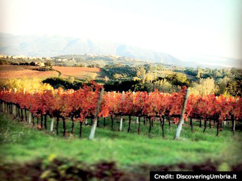 Fall in Umbria