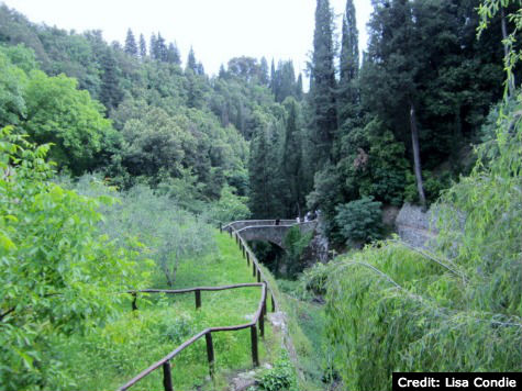 Cortona, Italy: Le Celle - Walking Paths